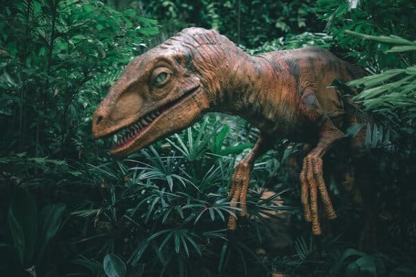 Festa compleanno Dinosauri, scopri gli addobbi e accessori a tema
